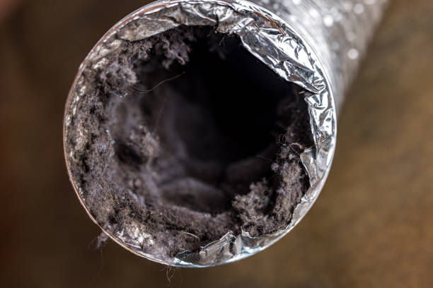 Best Air Duct Cleaning Near Me  in Ruston, WA