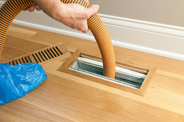 Best Local Air Duct Cleaning Services  in Ruston, WA
