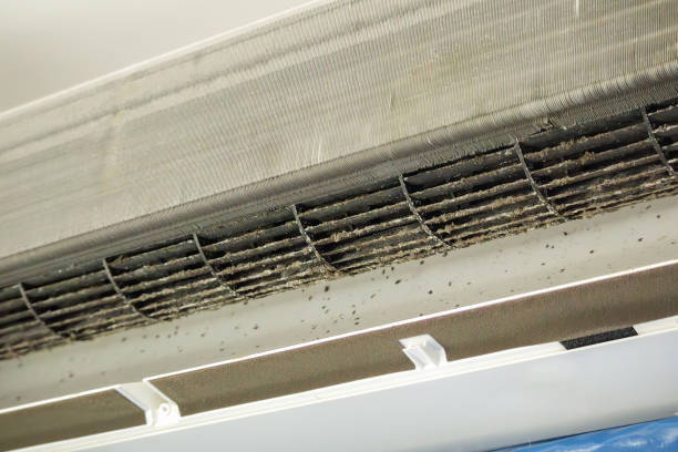 Best HVAC Air Duct Cleaning  in Ruston, WA