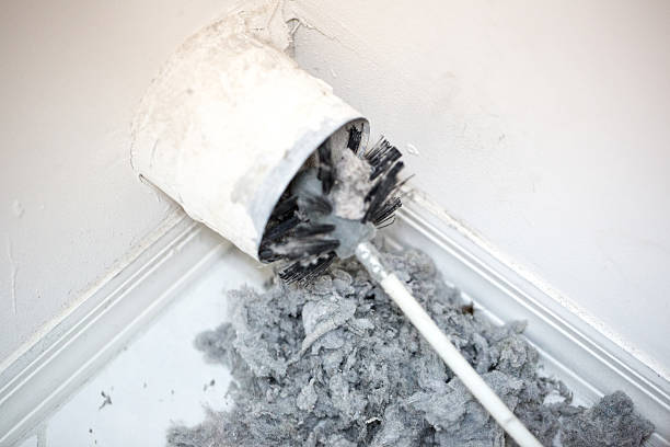 Best Home Air Vent Cleaning  in Ruston, WA